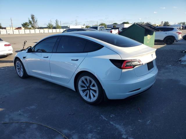 2021 TESLA MODEL 3 #3302853916