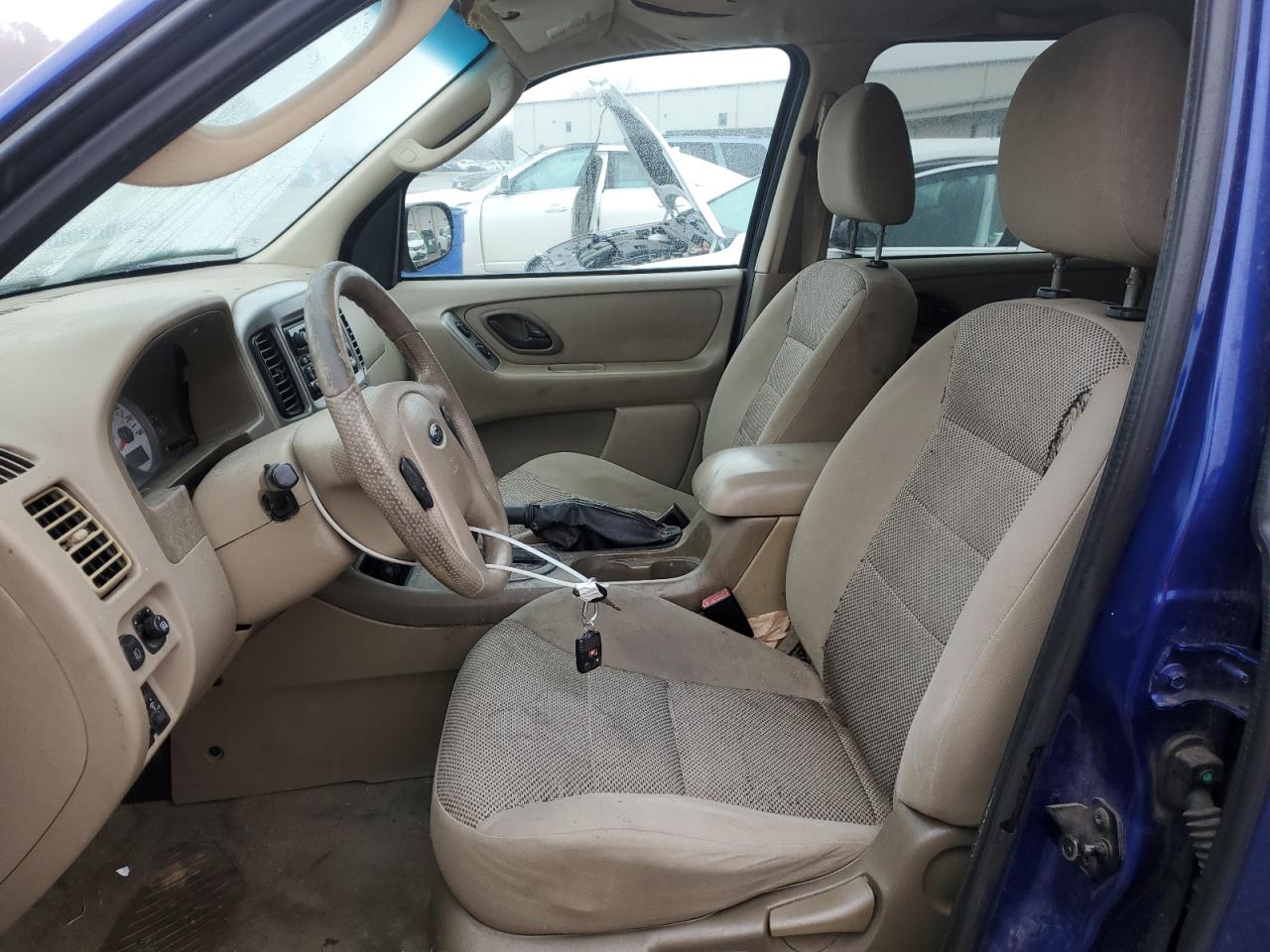 Lot #3301823339 2005 FORD ESCAPE XLT