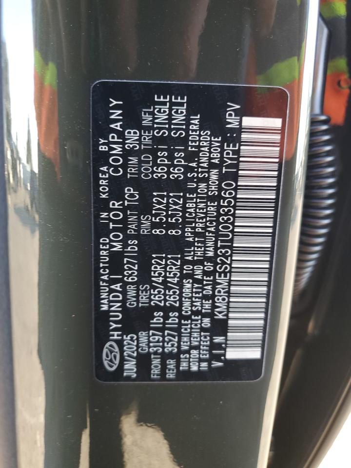 HYUNDAI PALISADE CALLIGRAPHY