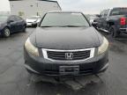 Lot #3302632037 2009 HONDA ACCORD LXP