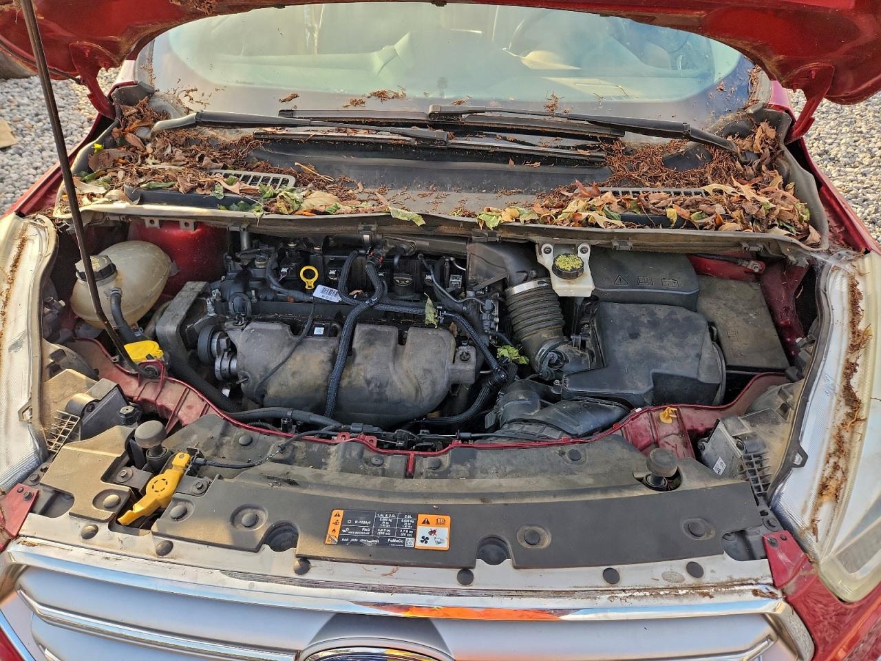 FORD ESCAPE TITANIUM