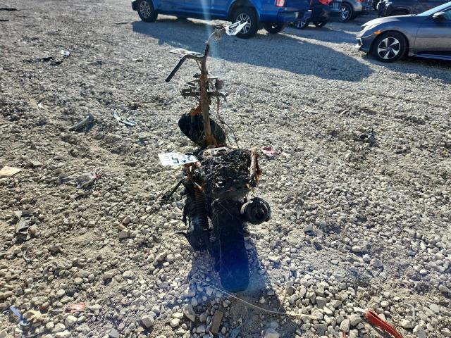 2004 ETON BEAMER - RFZ5BA2C64A007696