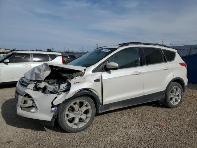 Global Auto Auctions: 2013 FORD ESCAPE SEL