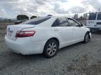Lot #3293472420 2009 TOYOTA CAMRY BASE