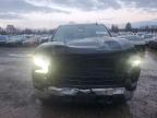 Lot #3305302352 2023 CHEVROLET SILVERADO