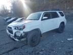 Lot #3317703155 2019 TOYOTA 4RUNNER SR