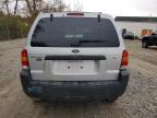 Lot #3301661636 2005 FORD ESCAPE XLT
