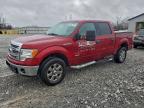 Lot #3305596099 2014 FORD F150 SUPER