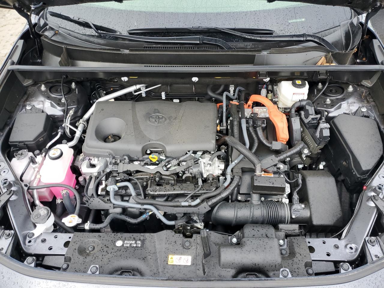 TOYOTA RAV4 XLE PREMIUM