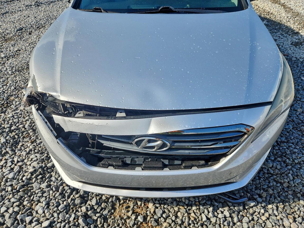 HYUNDAI SONATA ECO