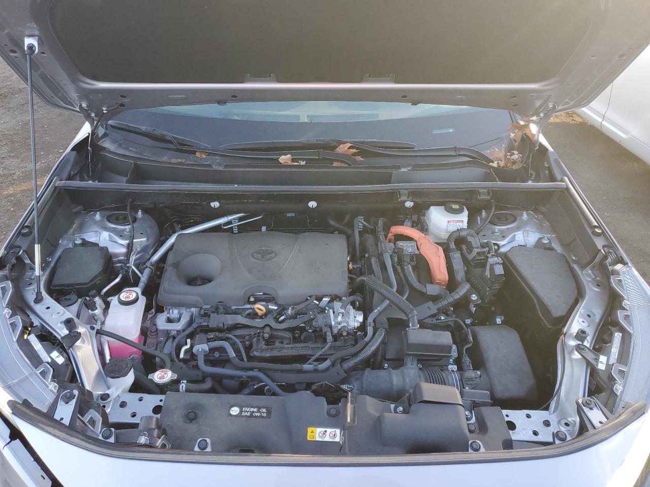 Lot #3311746717 2024 TOYOTA RAV4 XSE