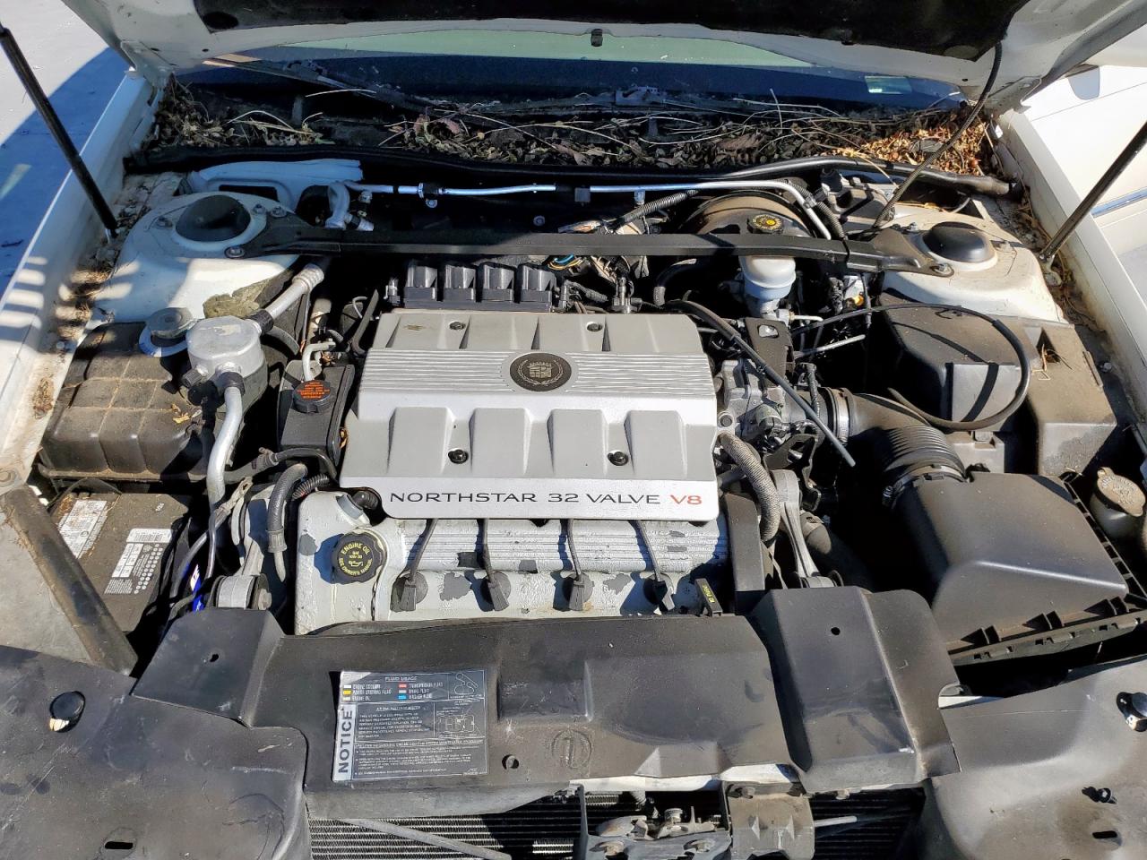 Lot #3283842416 1996 CADILLAC ELDORADO