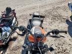 Lot #3297197427 2024 HARLEY-DAVIDSON RH975 S