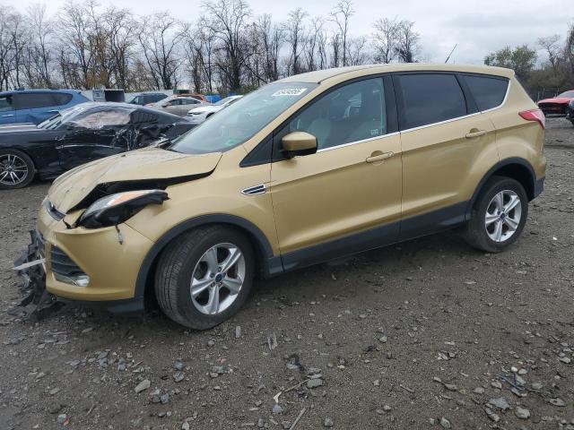 Global Auto Auctions: 2014 FORD ESCAPE SE
