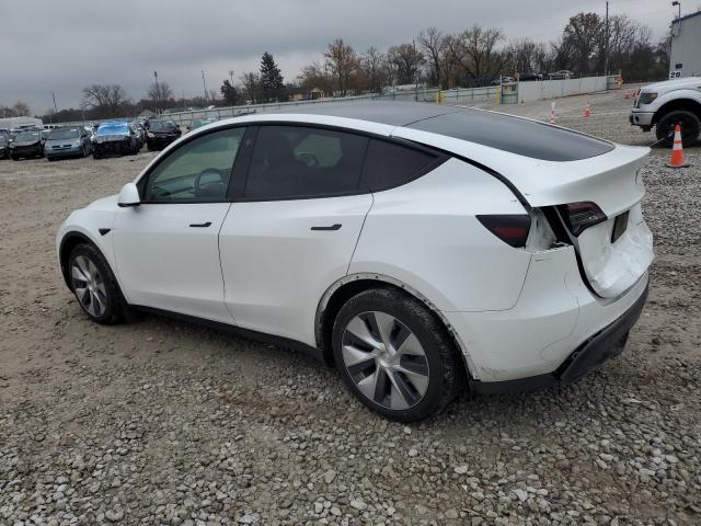 2021 TESLA MODEL Y #3296892861