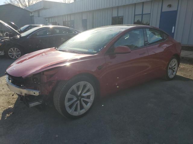 2023 TESLA MODEL 3 #3304631942