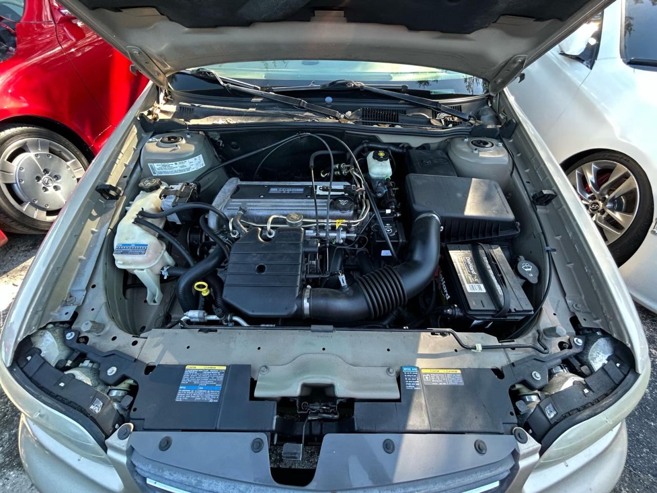 Lot #3287313994 2005 CHEVROLET CLASSIC