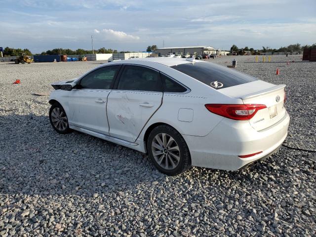 2016 HYUNDAI SONATA SPO - 5NPE34AF6GH264103
