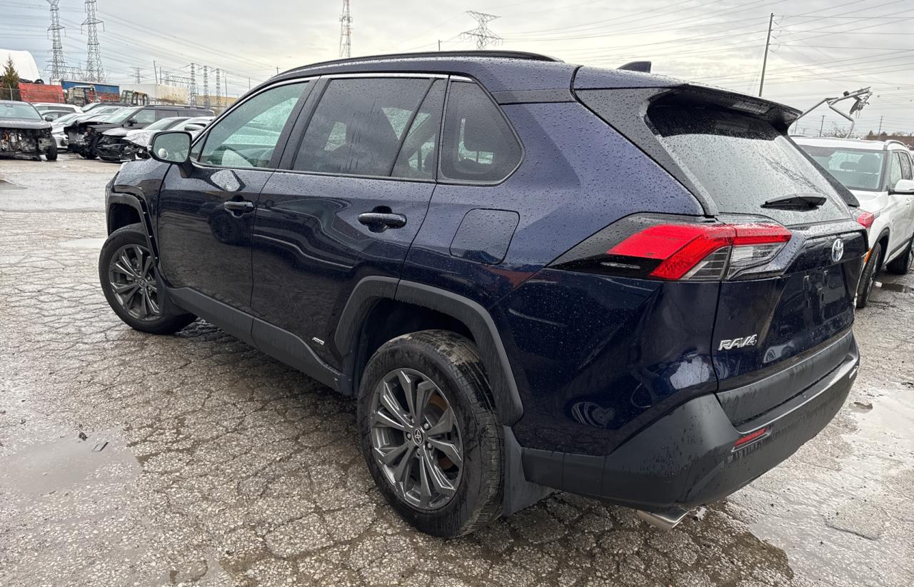 TOYOTA RAV4 XLE
