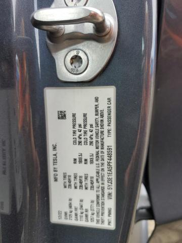 2023 TESLA MODEL 3 #3292580864