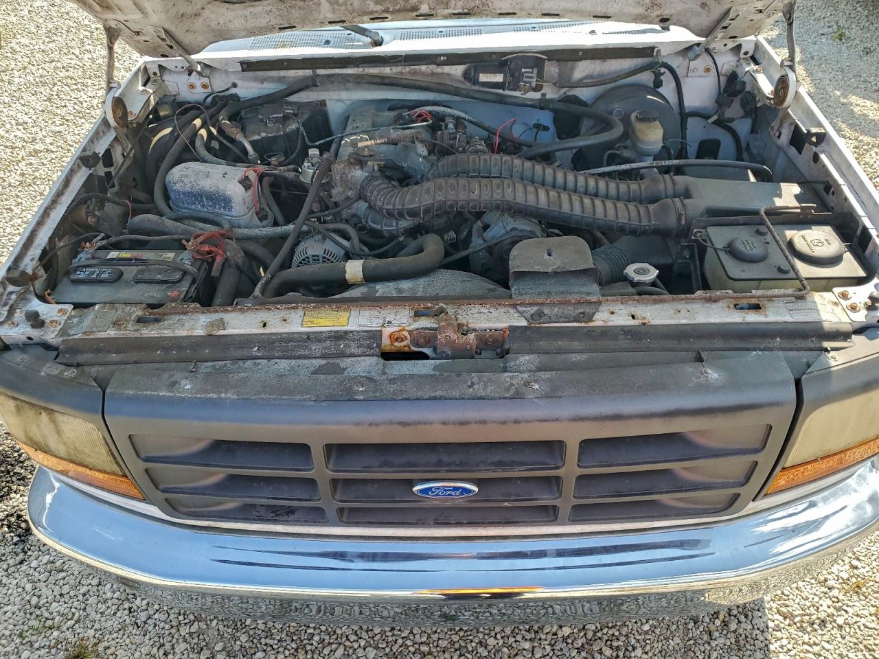 Lot #3304633945 1995 FORD F250