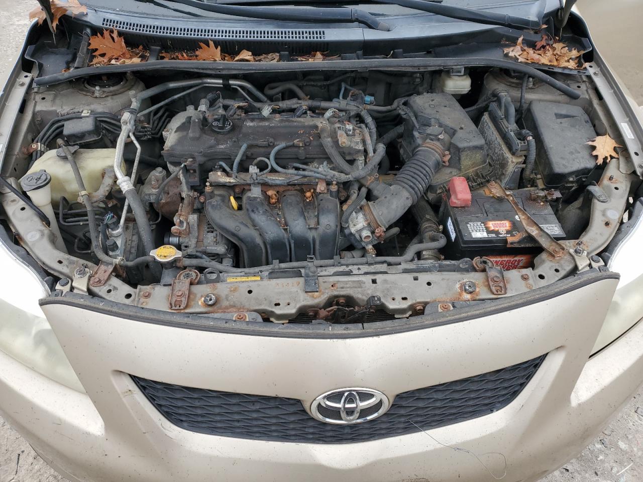 Lot #3317793135 2010 TOYOTA COROLLA BA