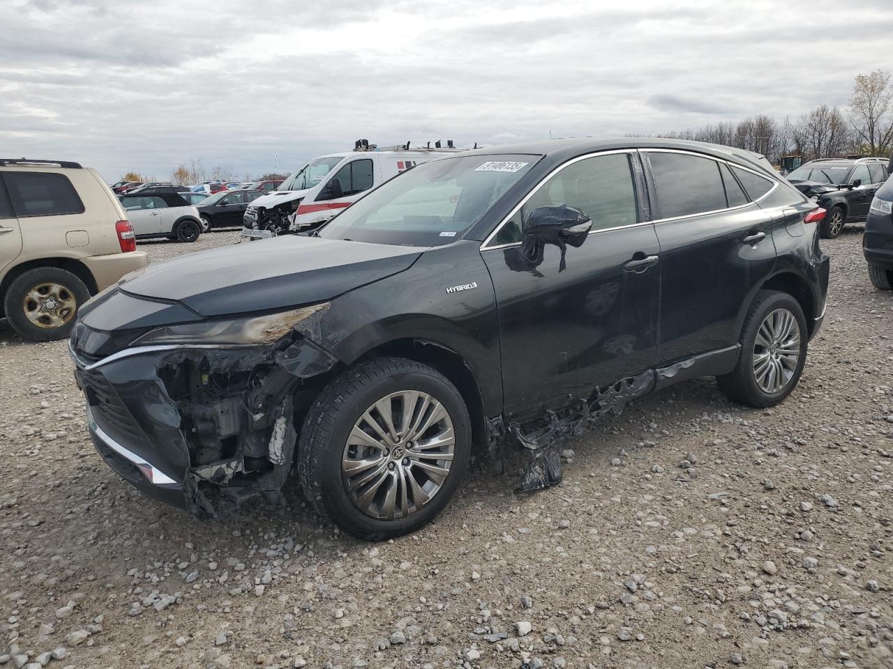 Lot #3317838228 2021 TOYOTA VENZA LE