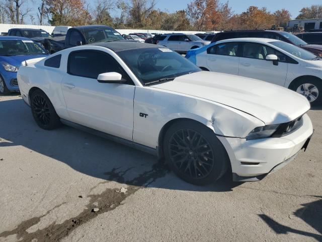 2010 FORD MUSTANG GT - 1ZVBP8CH4A5136007