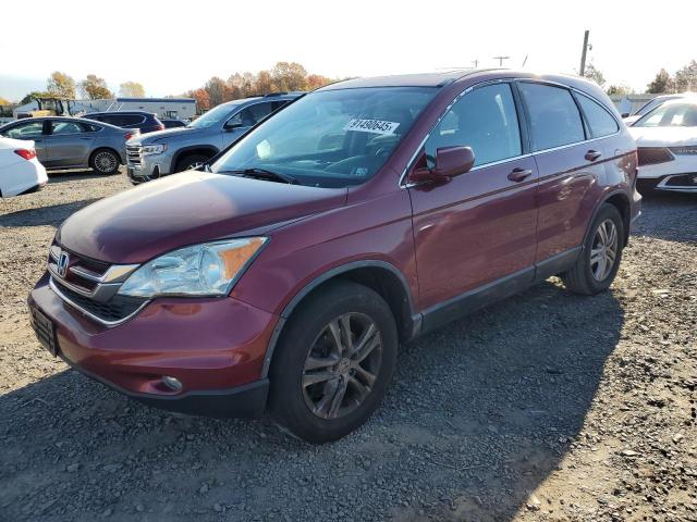 Global Auto Auctions: 2011 HONDA CR-V EXL