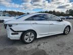 Lot #3308491285 2015 HYUNDAI SONATA HYB