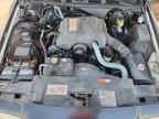 Lot #3308239157 2002 FORD CROWN VICT