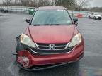 Lot #3305345306 2011 HONDA CR-V EX