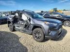 Lot #3304023588 2024 TOYOTA RAV4 XLE P