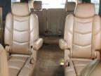 Lot #3304797354 2017 CADILLAC ESCALADE P