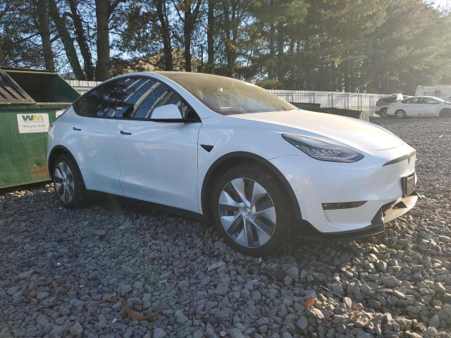 2021 TESLA MODEL Y - 5YJYGDEE0MF185913
