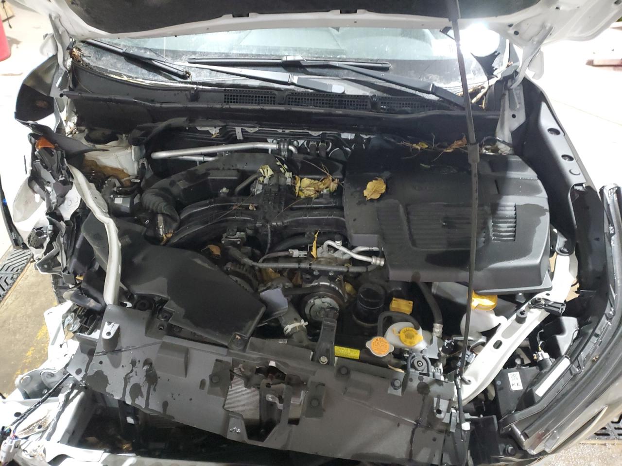 SUBARU FORESTER WILDERNESS