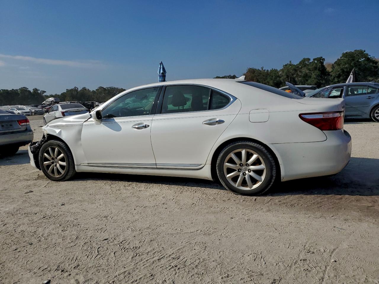 Lot #3297115536 2009 LEXUS LS 460