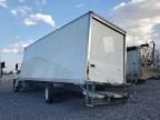 Lot #3304768905 2024 HINO TRUCK