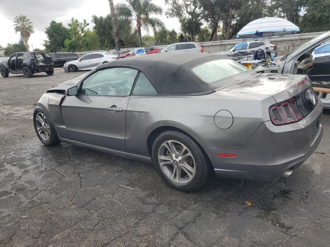 Lot #3308555501 2014 FORD MUSTANG