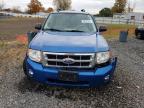 Lot #3296283427 2011 FORD ESCAPE XLT