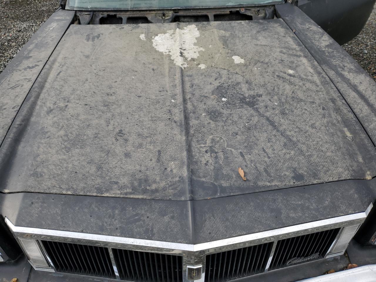 Lot #3282693301 1976 OLDSMOBILE OMEGA