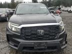 Lot #3312301774 2024 HONDA PASSPORT E