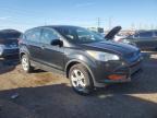 Lot #3310328953 2014 FORD ESCAPE S