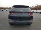 Lot #3312463626 2024 HYUNDAI TUCSON SEL
