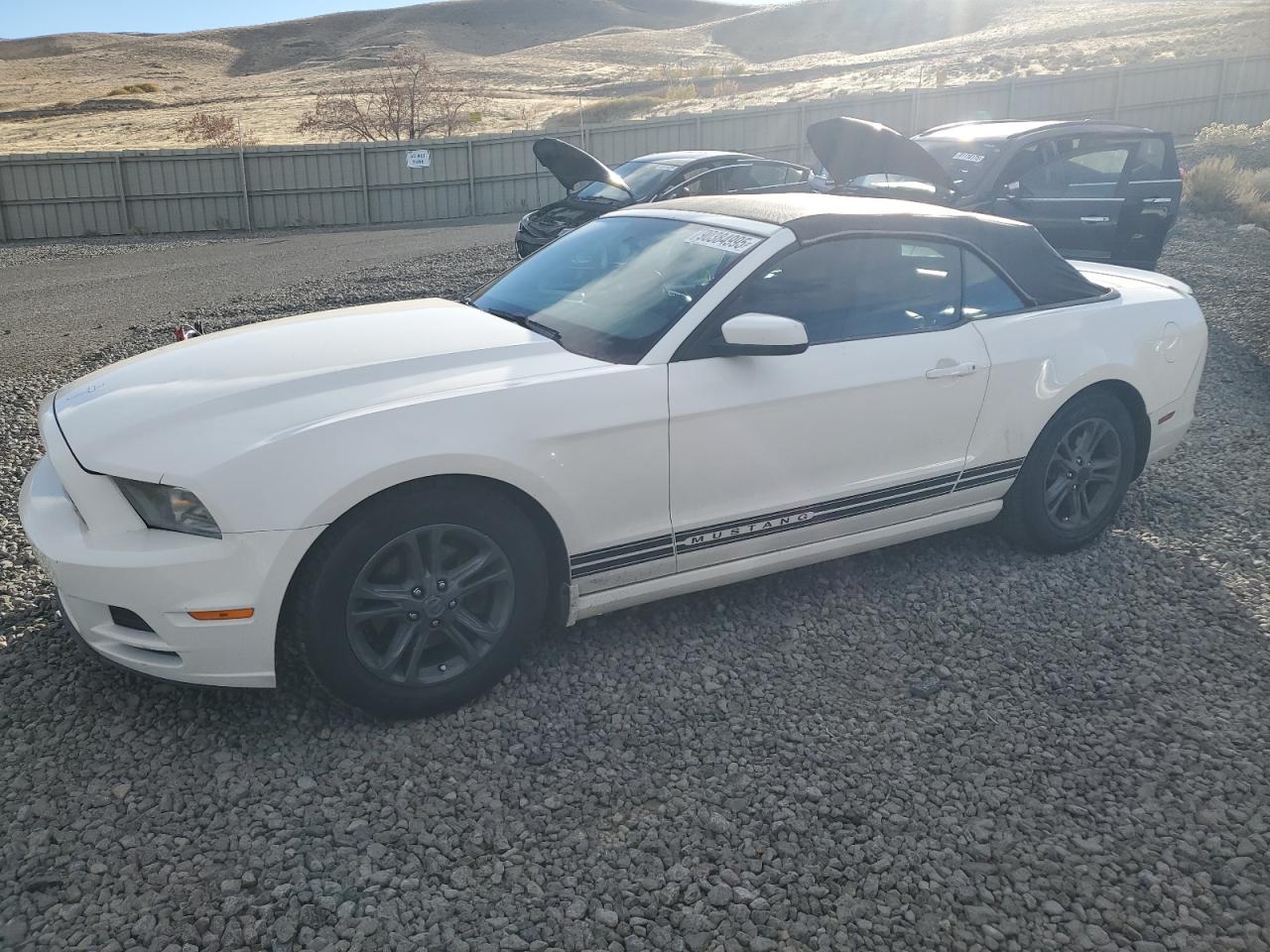 Lot #3302105132 2013 FORD MUSTANG