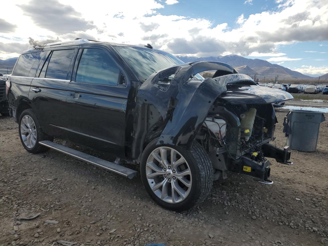 FORD EXPEDITION PLATINUM