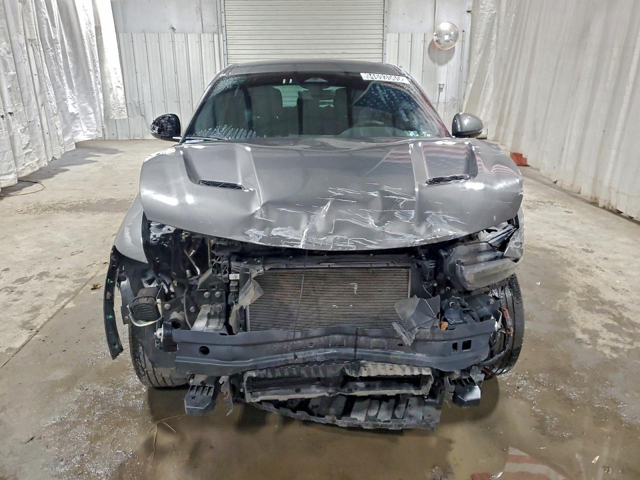 Lot #3318927935 2024 DODGE HORNET R/T