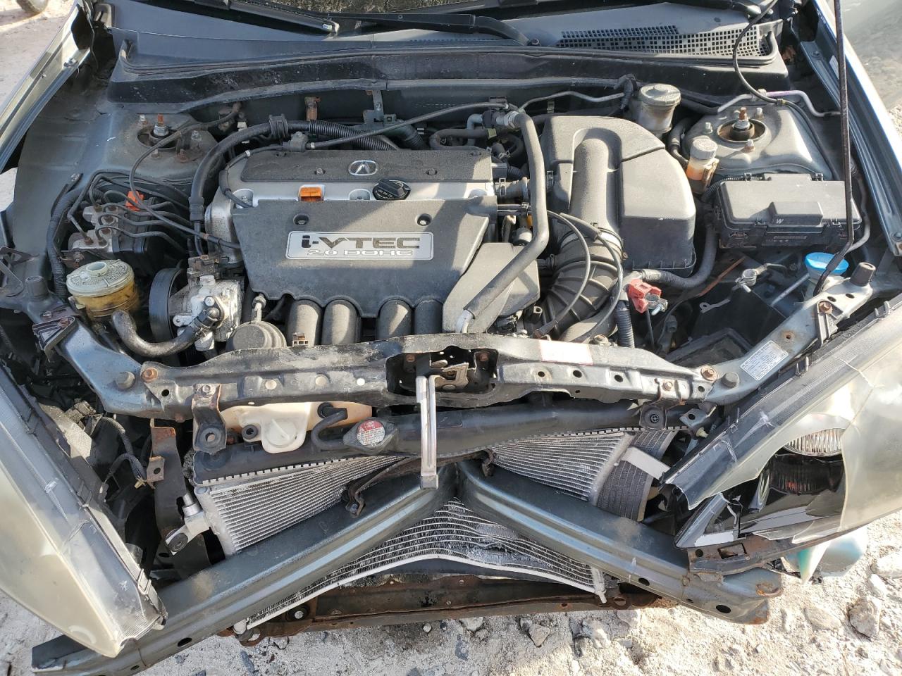 Lot #3309279623 2006 ACURA RSX