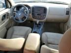 Lot #3316737460 2007 FORD ESCAPE XLS