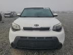 Lot #3308279171 2016 KIA SOUL